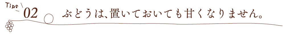 【Tips02】ぶどうは、置いておいても甘くなりません。