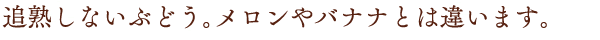追熟しないぶどう。メロンやバナナとは違います。