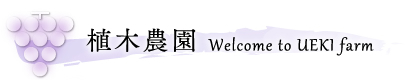 植木農園｜Welcome to UEKI farm