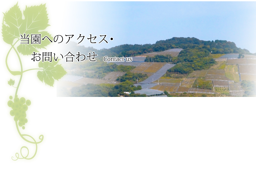 当園へのアクセス・お問い合わせ(Contact us)