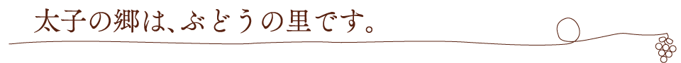 太子の郷は、ぶどうの里です。