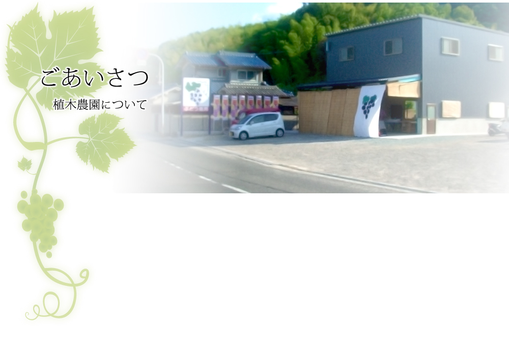 ごあいさつ（植木農園について）