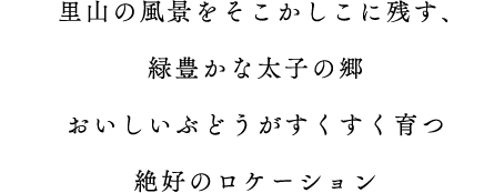 里山の風景をそこかしこに残す、緑豊かな太子の郷。おいしいぶどうがすくすく育つ絶好のロケーション