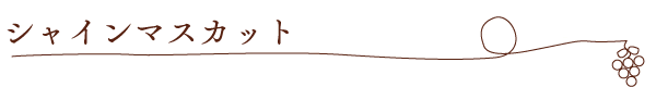 シャインマスカット