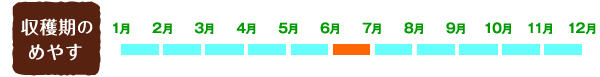 【収穫期のめやす】6月