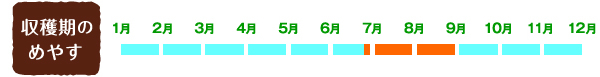 【収穫期のめやす】6月下旬~8月