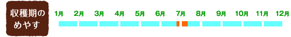 【収穫期のめやす】6月下旬~7月上旬