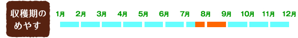 【収穫期のめやす】7月中旬~8月