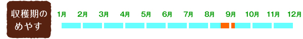 【収穫期のめやす】8月中旬~9月初旬