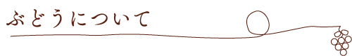 ぶどうについて